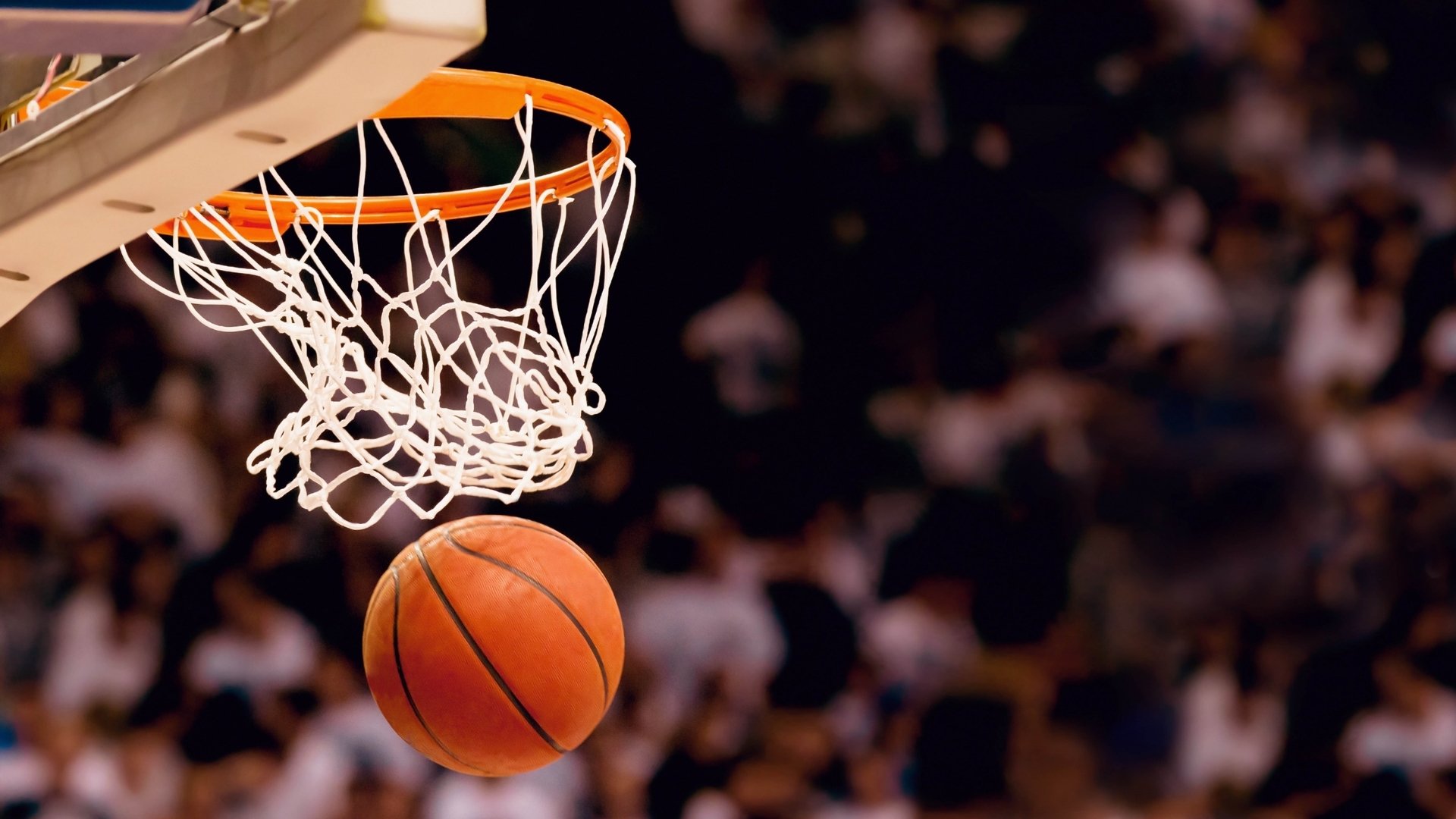 体育界一夜疯狂!Rookie瑞士问鼎,费耶诺德破纪录,山东泰山竟备战NBA总决赛?